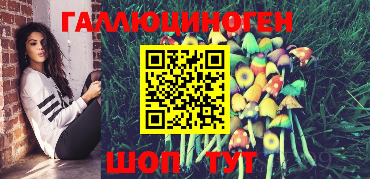 Киров  Псилоцибиновые грибы ЛСД  Вход с VPN 